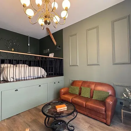 Le Petit Berthelot Au Coeur De * 투르