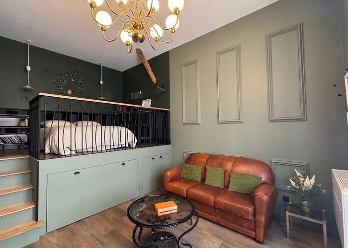 Le Petit Berthelot Au Coeur De * 图尔